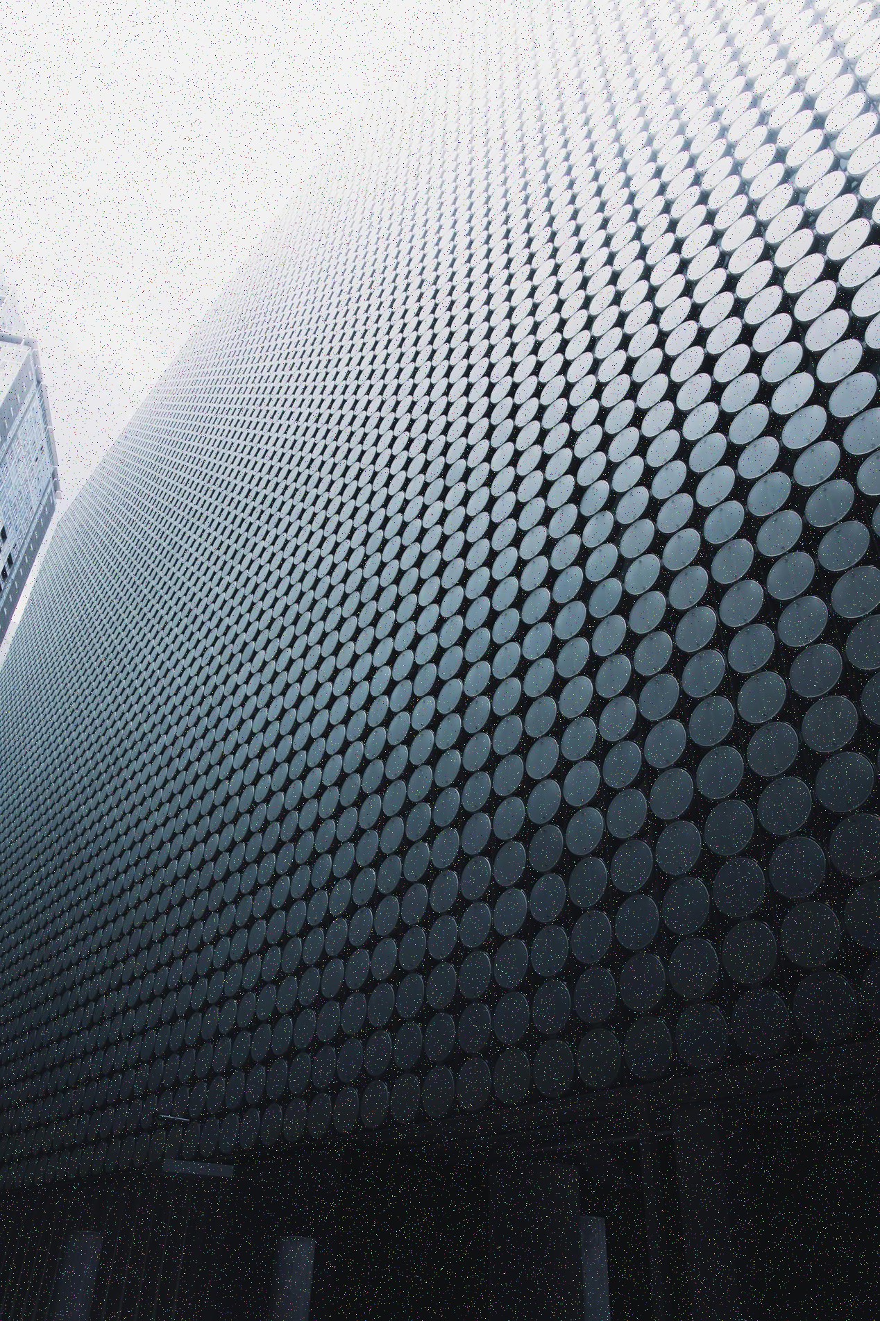 Projekt